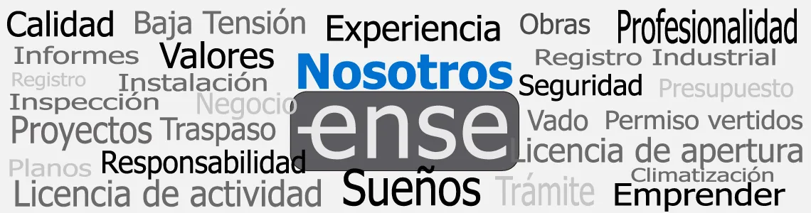 Nosotros- Ense Ingenieros